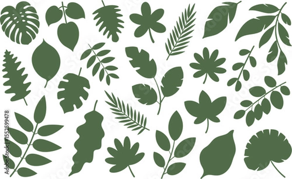 Fototapeta Tropical Foliage Vector Collection A Variety of Green Leaves on a Black Backdrop Perfect for Botanical Designs, Nature Inspired Art, and Lush Greenery Illustrations