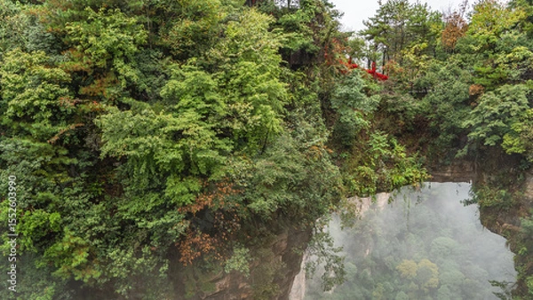 Fototapeta A natural stone bridge between the rocks. The arch over the gorge. There is green vegetation on the steep slopes of the mountains. Red ribbons on the railing of the footpath. Fog. China. Zhangjiajie
