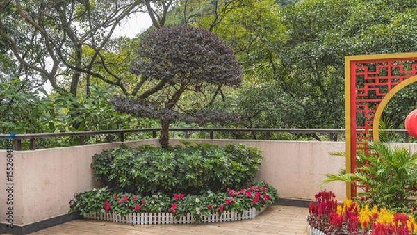 Fototapeta Landscape design of a tropical Chinese park. A fragment. A bonsai tree grows by the fence of the terrace. Decorative flower beds with bright flowers. Lush green vegetation in the background. China.
