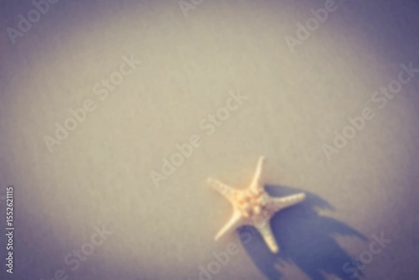 Obraz Overhead view of starfish on sand