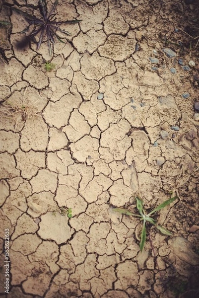 Obraz High angle view of dried field