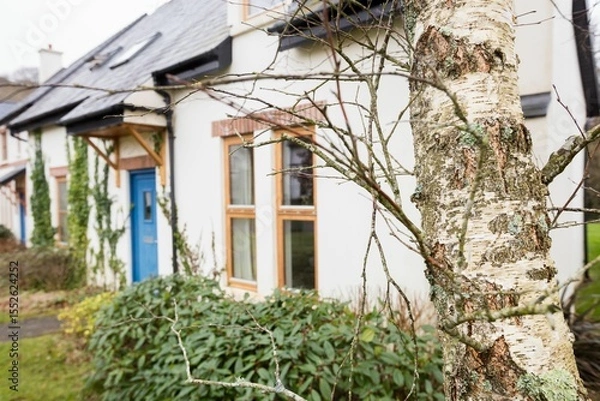 Obraz Plants by bare tree outside house