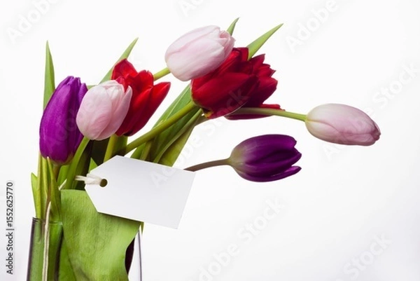 Obraz Tulip bouquet is being shown in flat design with glass vase and blank tag, copy space