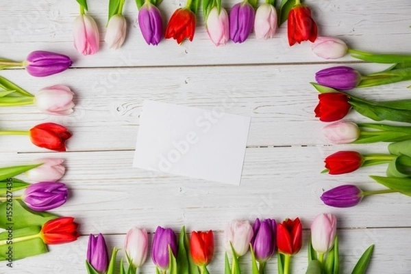 Obraz Flat design is showing top-down white-painted tabletop with red pink purple tulip frame, blank card