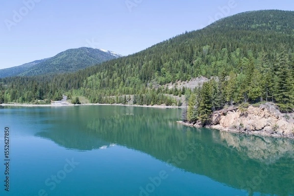 Obraz Forest on mountain by blue river against sky