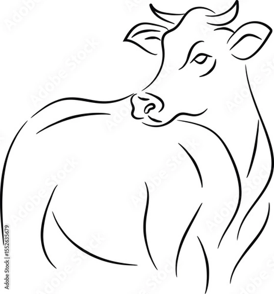 Fototapeta Simple Line Art Drawing of a Cow