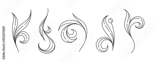 Fototapeta Leaf swirl decorations set. Graceful vector botanical ornaments with natural flow.