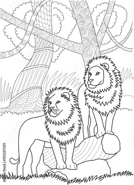 Obraz Black and white illustration of two male lions in a natural setting, suitable for coloring, animal themes, or design.