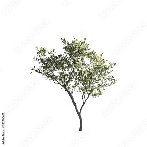 Fototapeta Green tree stands out against abstract background of colorful lines