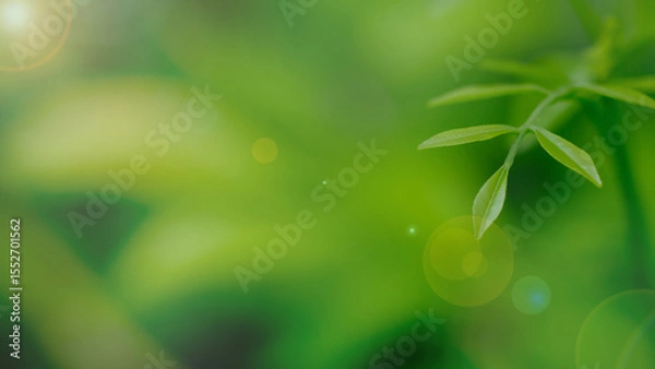 Obraz Nature of green leaf in garden at summer , Green leaves plants using as spring background cover page greenery environment ecology lime green wallpaper