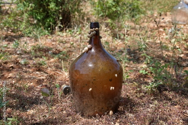Obraz A glass bottle in nature with snails climbing on it