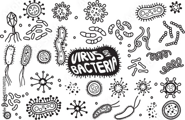 Fototapeta Virus and Bacteria Microscopic Doodle Icons – Germs, Infection, Science, Microbe, Pandemic, Health