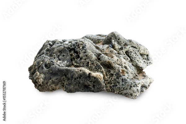 Fototapeta One stone isolated