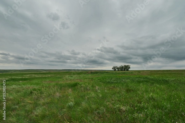 Obraz Green field under Storm cloud
