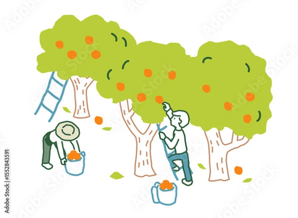 Obraz 果物を収穫する人　ベクターイラスト
