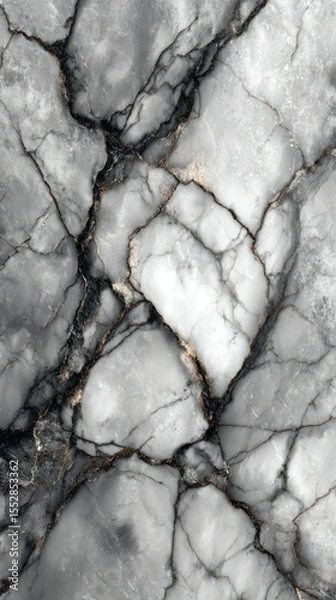 Fototapeta Elegant gray marble texture with striking black and white veins showcasing natural beauty and intricate patterns