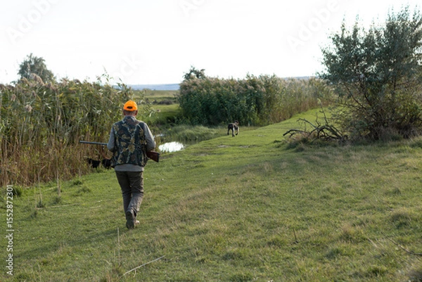 Fototapeta Mature man hunter with gun while walking on field.