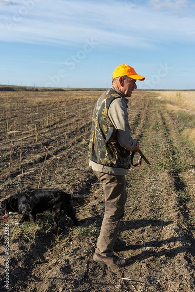 Fototapeta Mature man hunter with gun while walking on field.