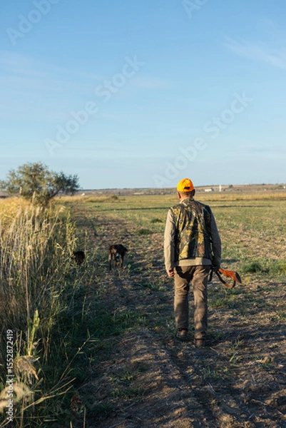 Fototapeta Mature man hunter with gun while walking on field.