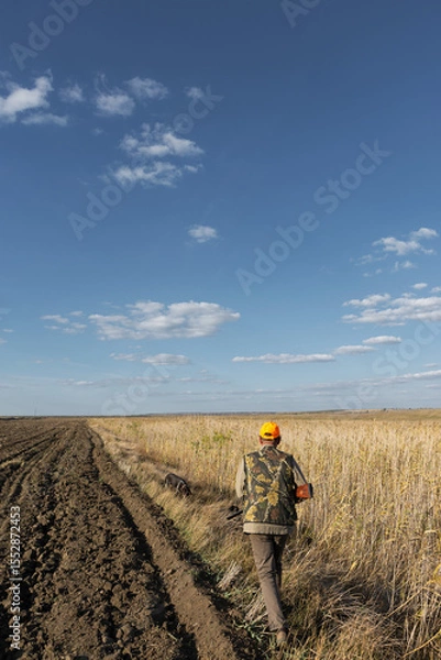 Fototapeta Mature man hunter with gun while walking on field.