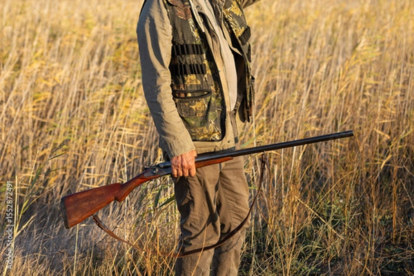 Fototapeta Mature man hunter with gun while walking on field.