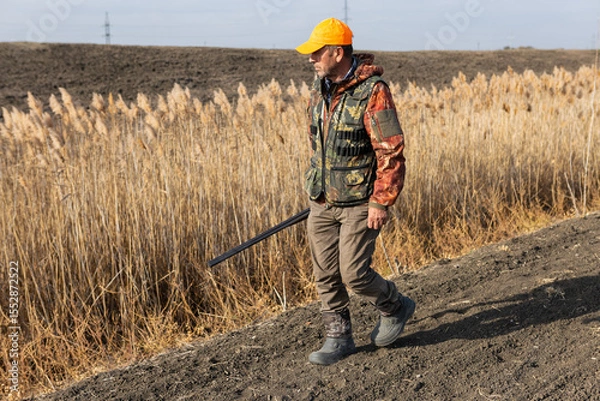 Fototapeta Mature man hunter with gun while walking on field.
