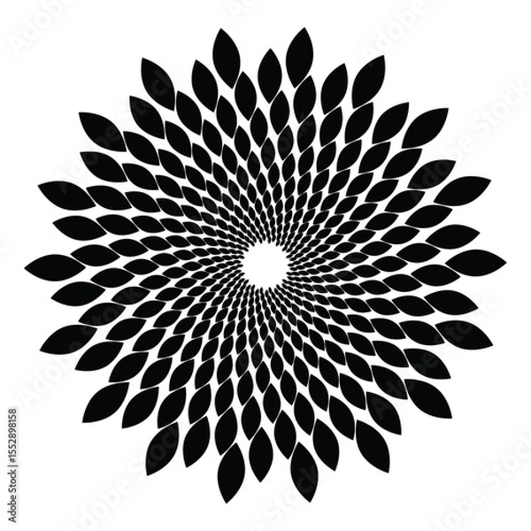 Fototapeta black and white abstract background . spiritual background texture 