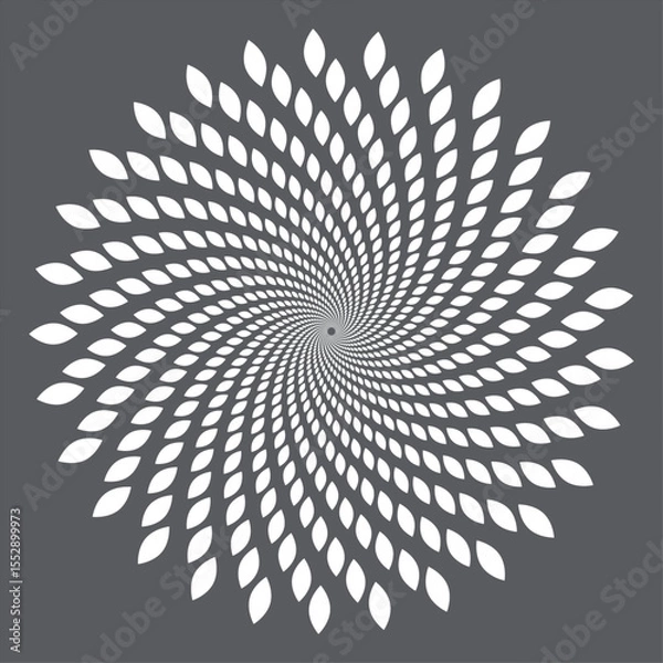 Fototapeta black and white abstract background pattern spiral 