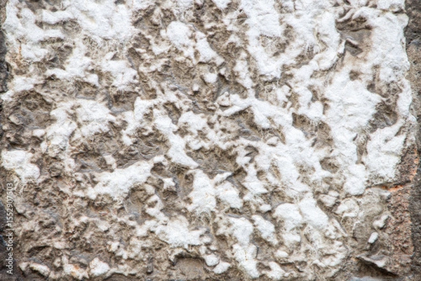 Fototapeta Rough Textured Surface Design with White Patterns and Organic Details