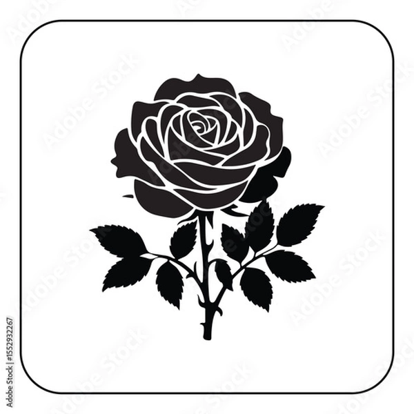 Obraz Digital rose art high resolution flower illustration