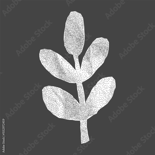 Fototapeta Delicate leaf silhouette with jagged torn edges. Crumpled paper with halftone gritty detail, designed for collage pages and retro-inspired layouts.