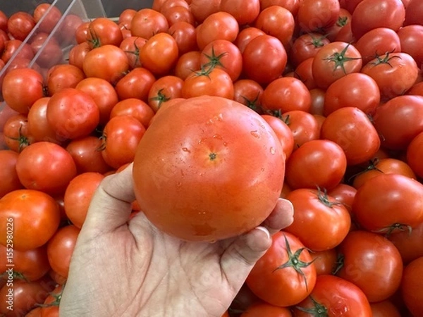 Obraz 완숙 토마토