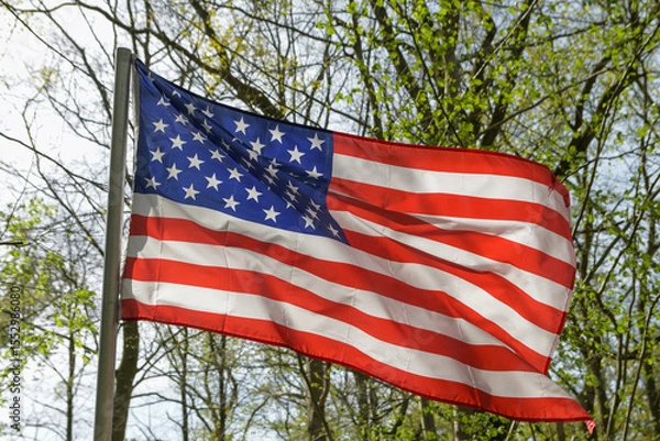 Fototapeta American flag in the forest with spring trees in the background