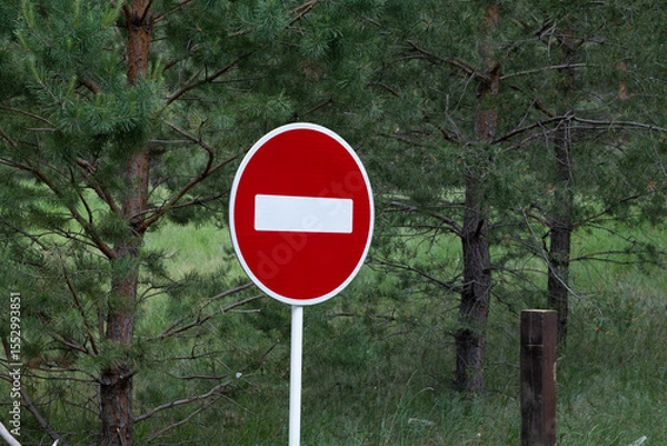 Obraz No entry sign on road in pine forest. Road sign.
