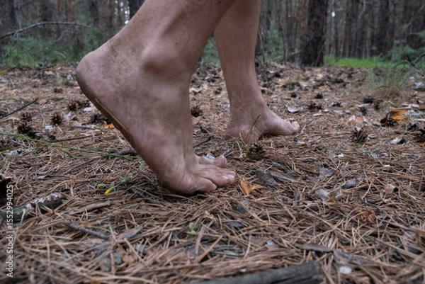 Obraz Man walks through forest barefoot, bare feet taken in closeup.