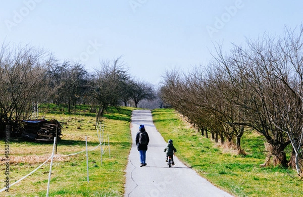 Fototapeta Mother and child walk together along a paved path in the Black Forest vineyards, with the child riding a bike and both surrounded by rows of leafless trees and green grass under a clear sky