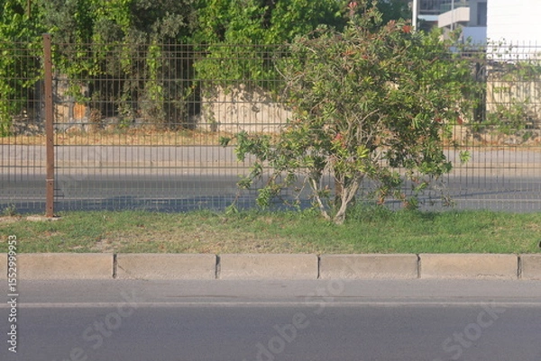 Fototapeta Gray curb on background of flowers, minimalism, path in the park, 7