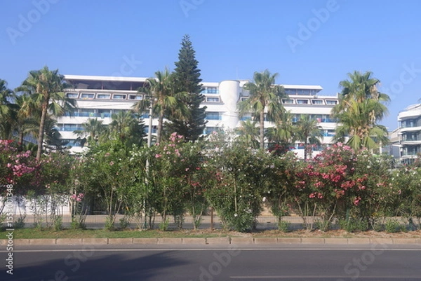 Fototapeta Gray curb on background of flowers, minimalism, path in the park, 7