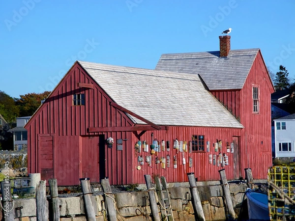 Fototapeta motif number one