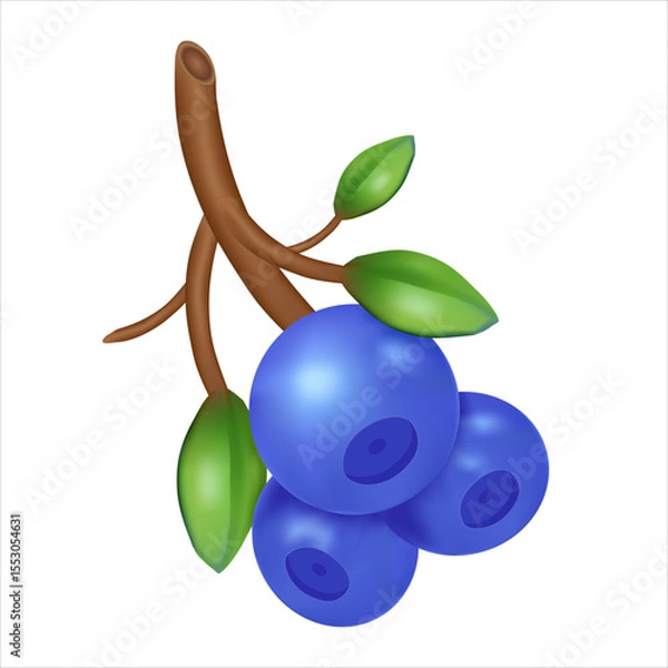 Fototapeta Vector illustration of ripe blueberries on a branch with green leaves.