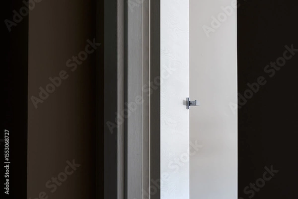 Obraz the front door is open into the room