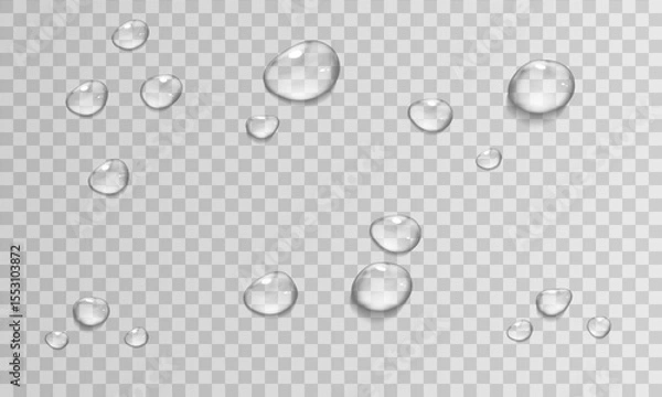 Fototapeta Vector Water Drops on Transparent Background. Realistic Raindrop Condensation. Stock royalty free