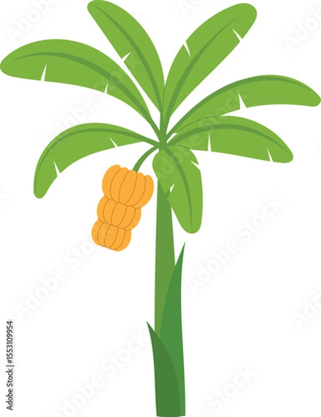 Obraz isolated banana tree with banana branch fruit illustration