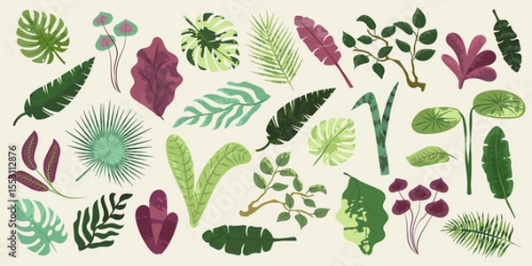 Fototapeta Collection of exotic tropical leaves. Hawaiian plants set. Vector elements isolated on a white background. Realistic botanical illustration in a modern flat style 