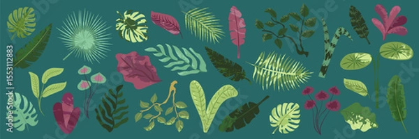 Fototapeta Collection of exotic tropical leaves. Hawaiian plants set. Vector elements isolated on a white background. Realistic botanical illustration in a modern flat style 