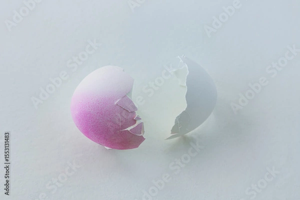 Obraz Empty eggshell on white background