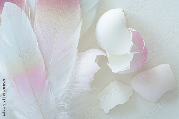 Obraz Soft pink feathers and eggshells on white background