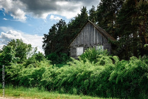 Fototapeta An old wooden house on the background of a dense forest.