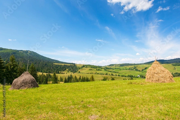 Obraz rural landscape in summer. wonderful sunny weather. countryside scenery with haystack on the field beneath a blue sky with clouds. carpathian village in the distance