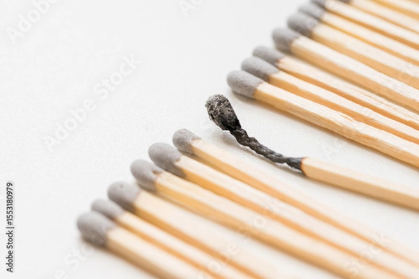 Fototapeta Group of matches and one burned match, burnout abstract concept